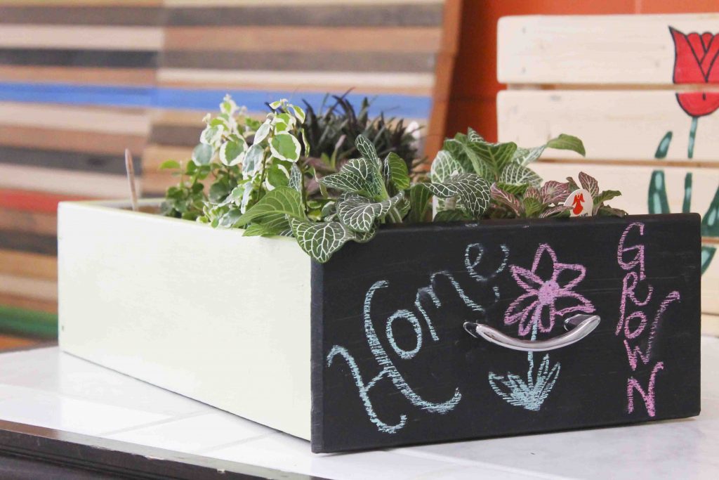 Completed DIY Seed Starter and Garden carrier shown with plants