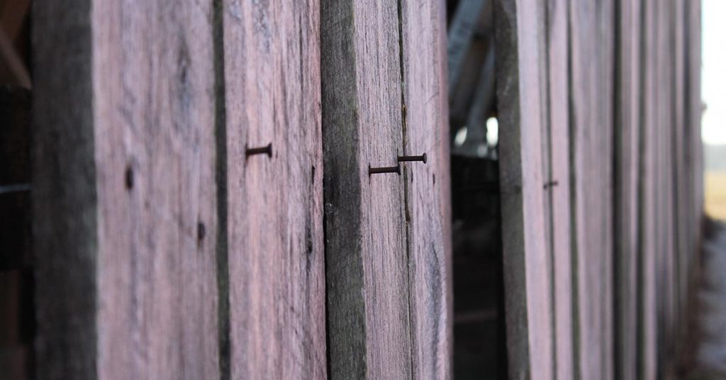 Old nails protrude from the poplar siding.