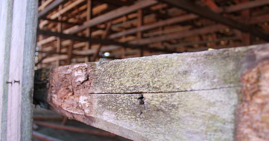 detail view of the old lumber